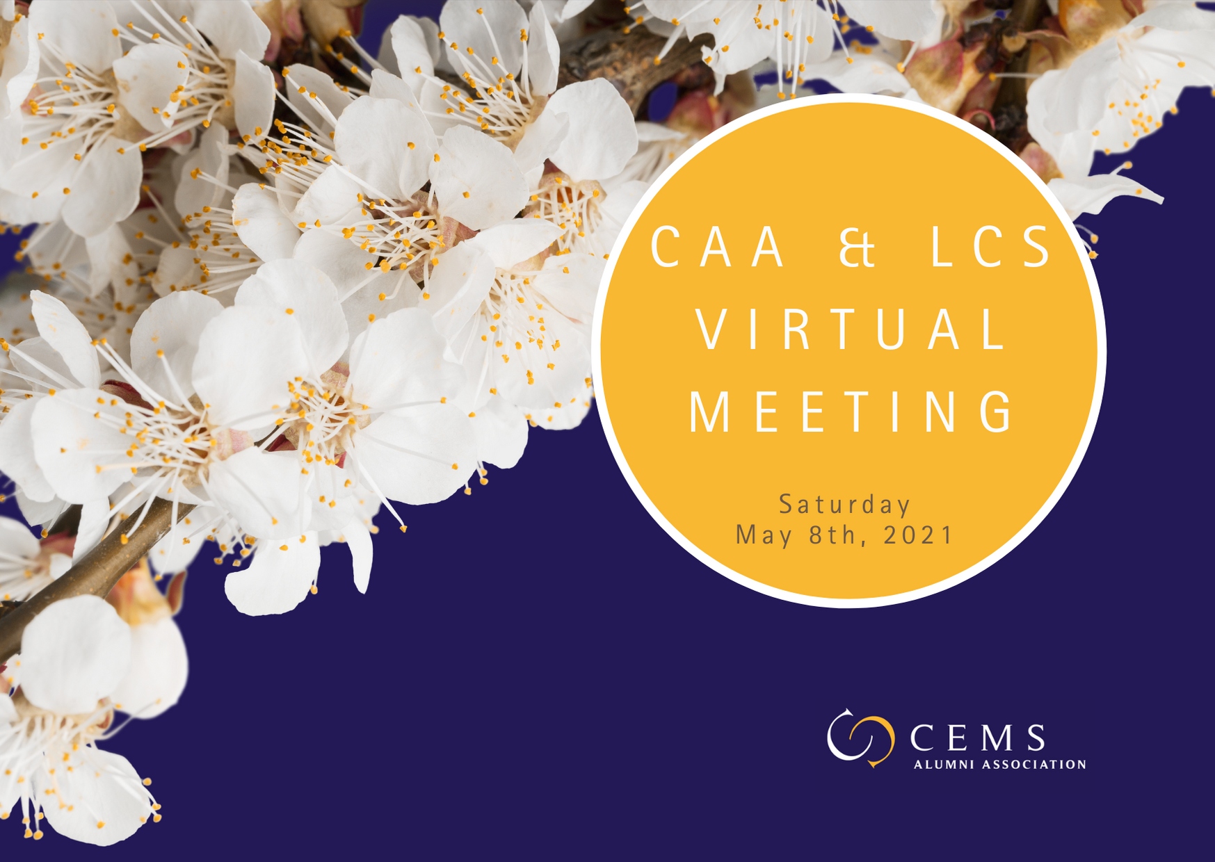 CAA_LCs Meeting_8 MAY 2021