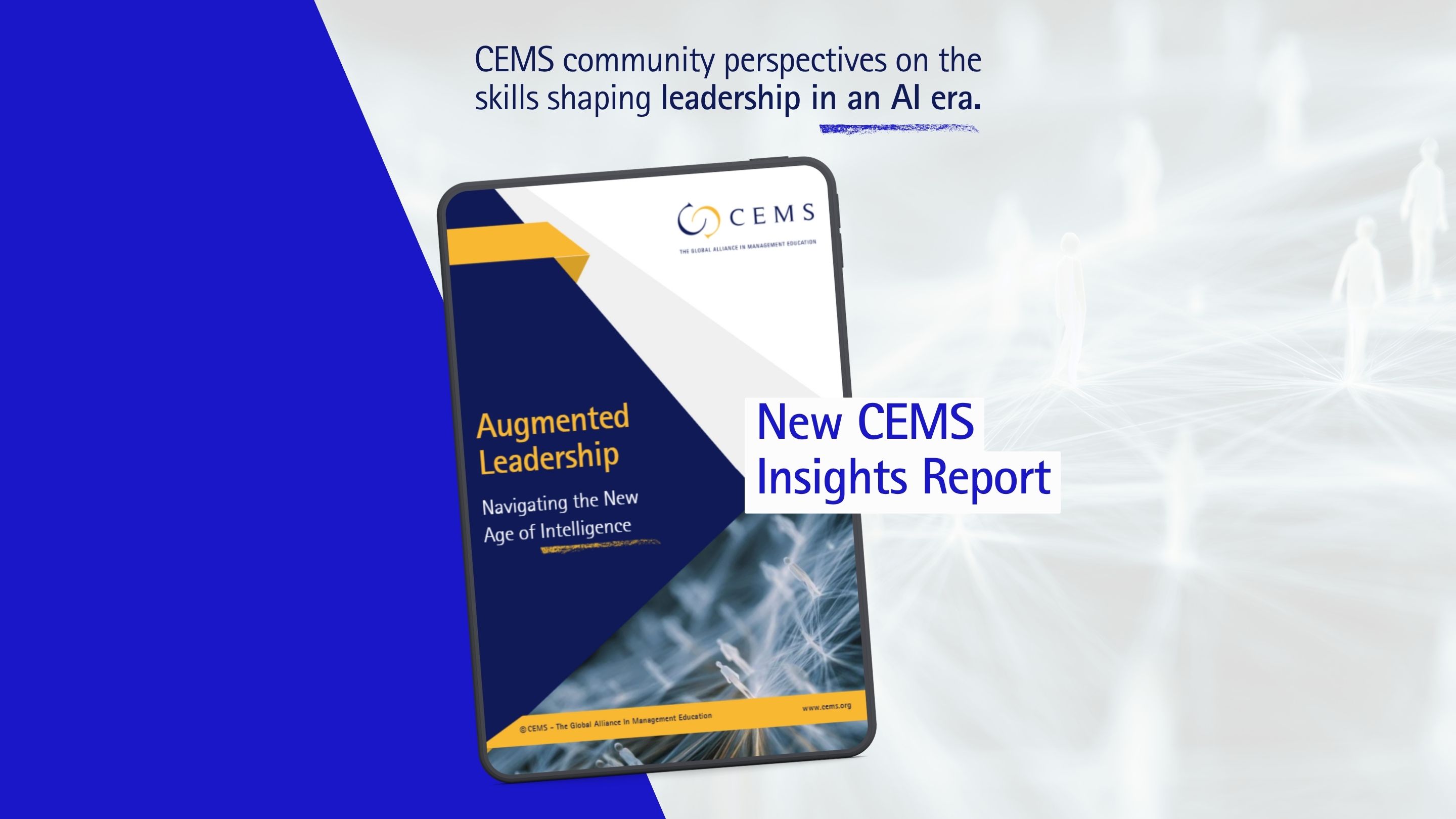 CEMS AI REPORT 2025