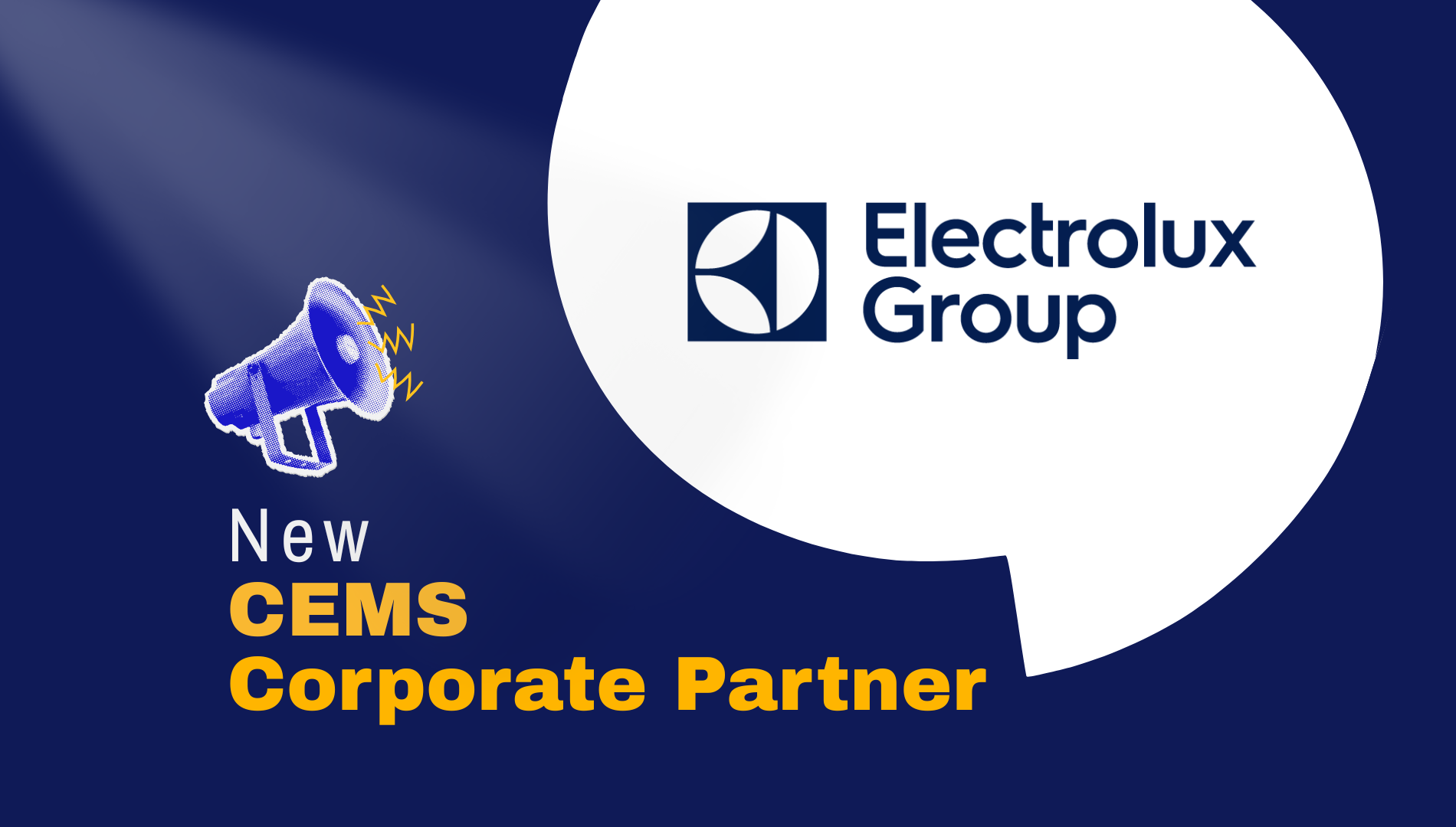 electrolux group