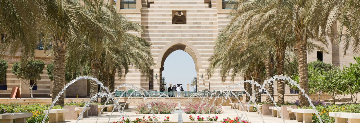 THE AMERICAN UNIVERSITY IN CAIRO SCHOOL OF BUSINESS