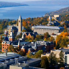 Cornell University - Picture