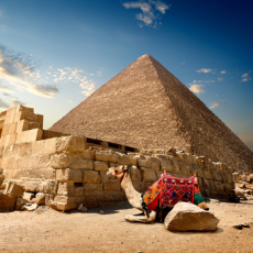 Photo of Egypt