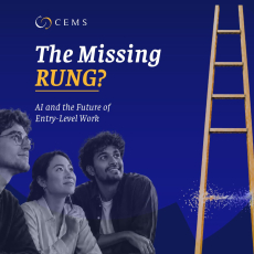 CEMS AI report 