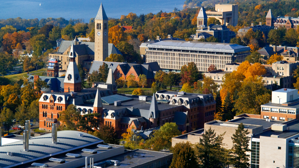 Cornell University - Picture