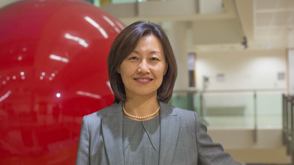 Hyun-Jung Lee, Assistant Professor in Organisational Behaviour and Cross-Cultural Management, London School of Economics.