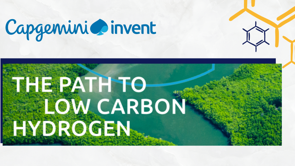 The Path to Low Carbon - Capgemini Invent 