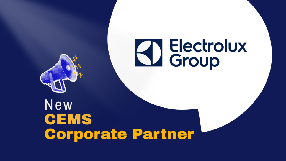 electrolux group 