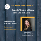 Remote Working at a Glance Flyer