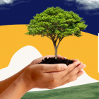 Towards a more nature positive world!  